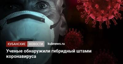 Ученые обнаружили гибридный штамм коронавируса - kubnews.ru - США