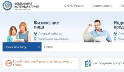 Даниил Егоров - Россияне увидят все свои покупки по картам на сайте ФНС - newizv.ru