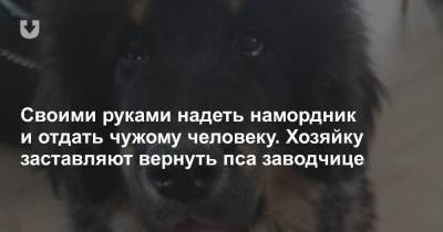 Своими руками надеть намордник и отдать чужому человеку. Хозяйку заставляют вернуть пса заводчице - news.tut.by