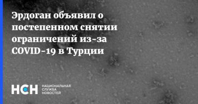 Реджеп Тайип Эрдоган - Тайип Эрдоган - Эрдоган объявил о постепенном снятии ограничений из-за COVID-19 в Турции - nsn.fm - Турция