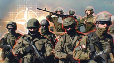 Франц Клинцевич - НАТО выставит первыми войска из Молдавии, Украины и Грузии при нападении на Россию - riafan.ru - Молдавия - Грузия - Афганистан