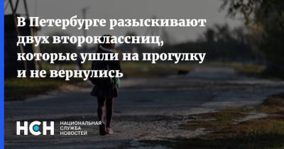 В Петербурге разыскивают двух второклассниц, которые ушли на прогулку и не вернулись - nsn.fm - Ленинградская обл. - Петербурга