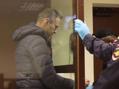 Алексей Навальный - Павел Чиков - Чиков: Власти РФ займутся «забалтыванием процесса» после решения ЕСПЧ по Навальному - rosbalt.ru