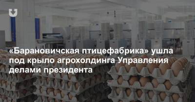 «Барановичская птицефабрика» ушла под крыло агрохолдинга Управления делами президента - news.tut.by - Белоруссия