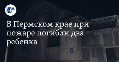 В Пермском крае при пожаре погибли два ребенка - ura.news - Пермский край