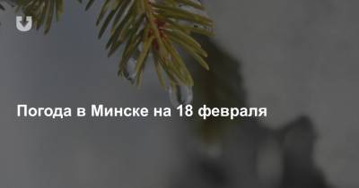 Погода в Минске на 18 февраля - news.tut.by - Минск