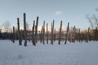 В Амурском посёлке мэрия Омска устроила зимнюю «стрижку» тополей - omsk.mk.ru - Омск