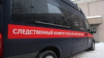 Подростка подозревают в избиении и истязании ребенка-инвалида на Камчатке - nation-news.ru - Камчатский край