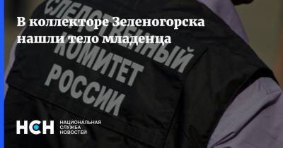 В коллекторе Зеленогорска нашли тело младенца - nsn.fm - Красноярский край - Зеленогорск
