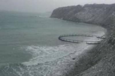 На берег Черного моря выбросило странный объект - from-ua.com - Кубань - Новороссийск