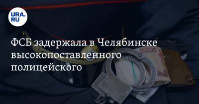 ФСБ задержала в Челябинске высокопоставленного полицейского - ura.news - Челябинская обл. - Челябинск