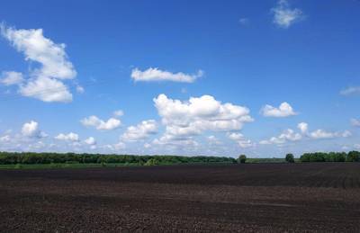 Исследование: Украинцы не планируют продавать землю - agroportal.ua