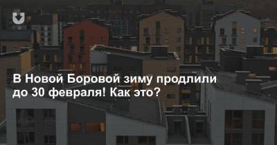 В Новой Боровой зиму продлили до 30 февраля! Как это? - news.tut.by