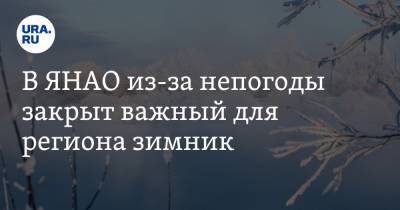 В ЯНАО из-за непогоды закрыт важный для региона зимник - ura.news - окр. Янао