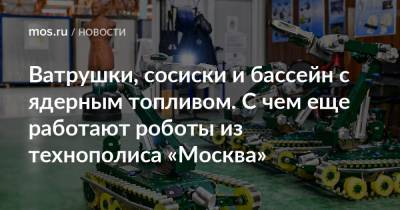 Ватрушки, сосиски и бассейн с ядерным топливом. С чем еще работают роботы из технополиса «Москва» - mos.ru - Москва