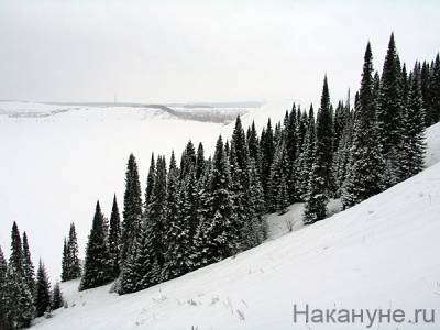 Алексей Кузнецов - На Среднем Урале создается новый охотничий заказник "Тошемский" - nakanune.ru - Свердловская обл.