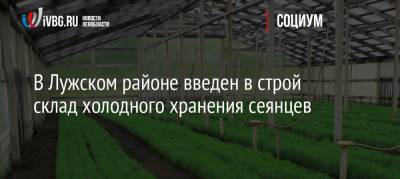 В Лужском районе введен в строй склад холодного хранения сеянцев - ivbg.ru - Ленинградская обл.