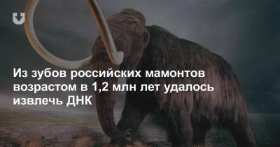 Из зубов российских мамонтов возрастом в 1,2 млн лет удалось извлечь ДНК - news.tut.by