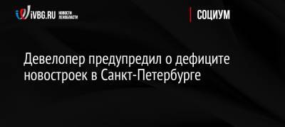 Девелопер предупредил о дефиците новостроек в Санкт-Петербурге - ivbg.ru - Россия - Санкт-Петербург - Строительство