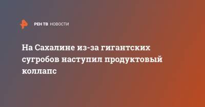 На Сахалине из-за гигантских сугробов наступил продуктовый коллапс - ren.tv
