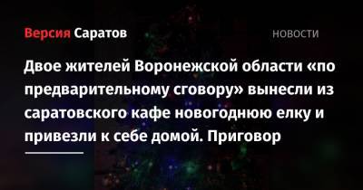 Двое жителей Воронежской области «по предварительному сговору» вынесли из саратовского кафе новогоднюю елку и привезли к себе домой. Приговор - nversia.ru - Саратов - Воронежская обл.