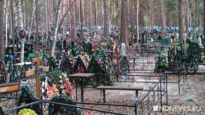 Экс-глава похоронной службы Владивостока получил взятки на 300 млн рублей - newdaynews.ru - Приморье край - Владивосток