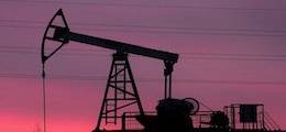 Александр Новак - Нефтяные компании попросили правительство снизить налоги - finanz.ru