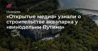 «Открытые медиа» узнали о строительстве аквапарка у «винодельни Путина» - tvrain.ru