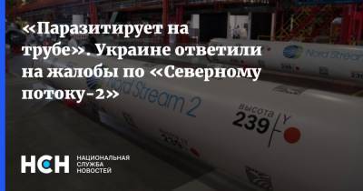 Игорь Юшков - Андрей Коболев - «Паразитирует на трубе». Украине ответили на жалобы по «Северному потоку-2» - nsn.fm - Украина