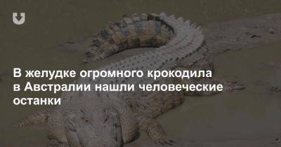 В желудке огромного крокодила в Австралии нашли человеческие останки - news.tut.by - Австралия