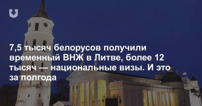 7,5 тысяч белорусов получили временный ВНЖ в Литве, более 12 тысяч — национальные визы. И это за полгода - news.tut.by - Белоруссия - Литва - Визы