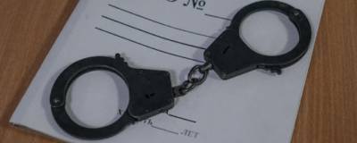 В Татарстане по делу об убийстве 26 женщин задержали предполагаемого маньяка - runews24.ru - респ. Татарстан - ЦФО - Казань