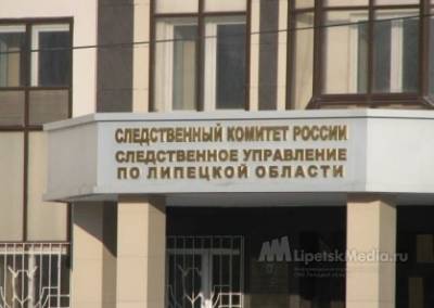 Жертвами двух извращенцев в соцсетях стали школьницы от 8-16 лет - lipetskmedia.ru - Липецкая обл.