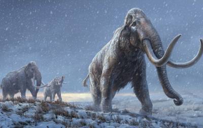 Ученые расшифровали древнейшую ДНК мамонта - korrespondent.net - Стокгольм