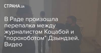 Петр Порошенко - Ирина Верещук - Руслан Коцаба - В Раде произошла перепалка между журналистом Коцабой и "порохоботом" Дзындзей. Видео - strana.ua