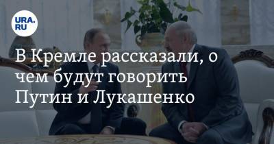Владимир Путин - Дмитрий Песков - Александр Лукашенко - В Кремле рассказали, о чем будут говорить Путин и Лукашенко - ura.news - Белоруссия