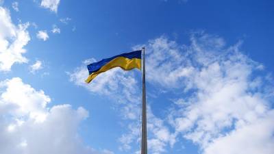 Дмитрий Песков - Дмитрий Кулеба - В Кремле назвали Украину политическим проектом западных стран - iz.ru
