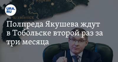 Владимир Якушев - Александр Моор - Полпреда Якушева ждут в Тобольске второй раз за три месяца - ura.news - Тюмень - Тобольск