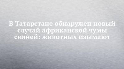 В Татарстане обнаружен новый случай африканской чумы свиней: животных изымают - chelny-izvest.ru - респ. Татарстан