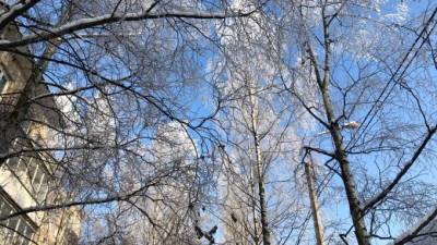 Мороз - В Ленобласти в ближайшие три ночи ожидаются морозы до -32 градусов - piter.tv - Ленинградская обл.