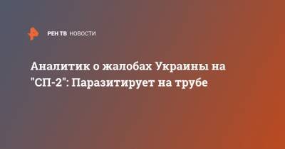 Игорь Юшков - Андрей Коболев - Аналитик о жалобах Украины на "СП-2": Паразитирует на трубе - ren.tv - Украина