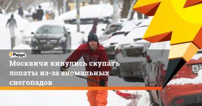 Москвичи кинулись скупать лопаты из-за аномальных снегопадов - ridus.ru - Москва - Московская обл.