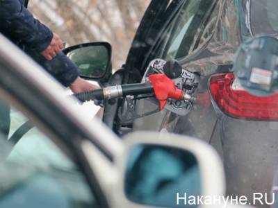 Петр Шкуматов - Критичный недолив топлива практикуют только 20% автозаправок - ОНФ - nakanune.ru