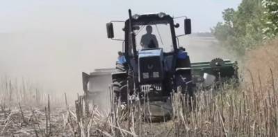 Снижение НДС для производителей аграрного сырья уничтожит перерабатывающую отрасль в Украине, - эксперт - politeka.net - Аграрии