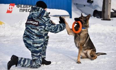 Кинологи Урала раскрыли секреты особой подготовки собак - fedpress.ru - Свердловская обл.
