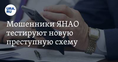 Мошенники ЯНАО тестируют новую преступную схему. Звонят с номеров чиновников - ura.news - Новосибирск - Салехард - окр. Янао