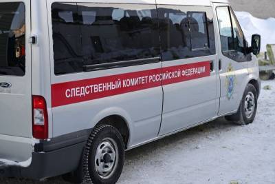 На Камчатке школьника подозревают в истязании ребенка с инвалидностью - m24.ru