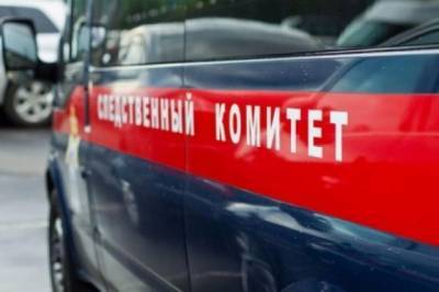 Вячеслав Володин - СК проверит информацию о высаженном из автобуса в Смоленске подростке - aif.ru - Смоленск