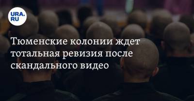 Тюменские колонии ждет тотальная ревизия после скандального видео - ura.news - Тюмень - Тюменская обл.