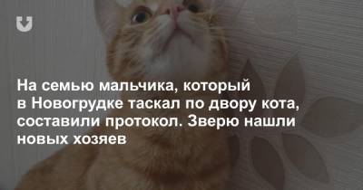 На семью мальчика, который в Новогрудке таскал по двору кота, составили протокол. Зверю нашли новых хозяев - news.tut.by